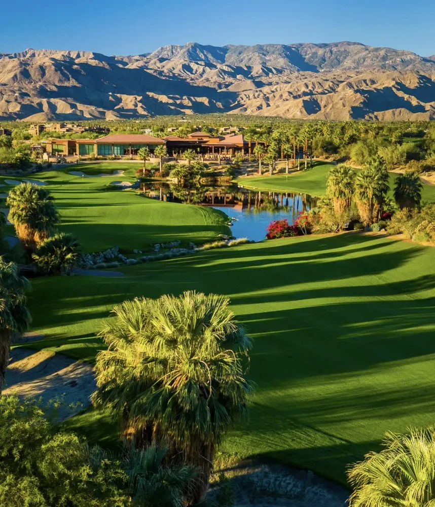 Desert Willow in Palm Desert