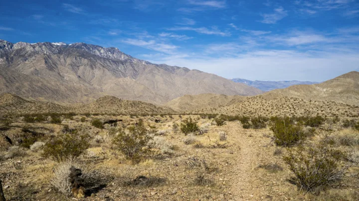Bump and Grind Trail in Palm Desert